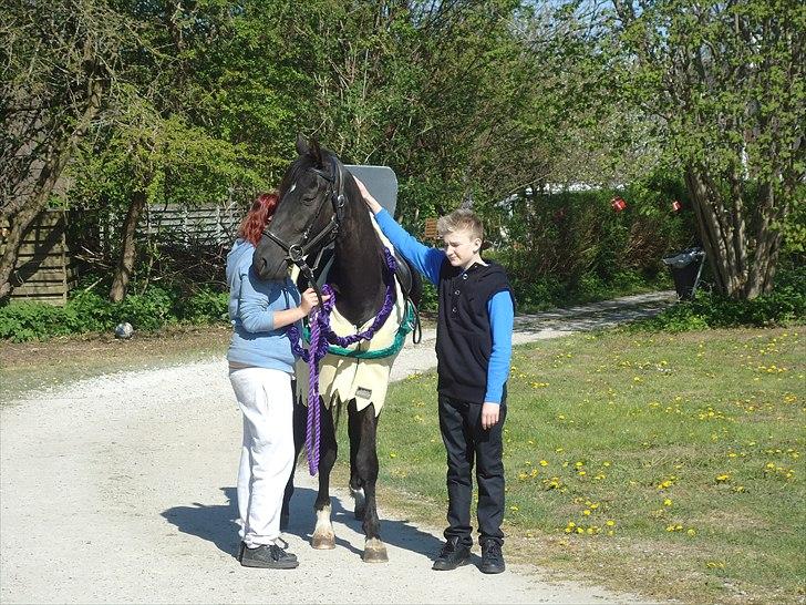 Anden særlig race Meulengrachts Don Cordoba - Min bror og Basse ankommet fra Kirken. ( Der skulle os være billeder hvor han stod ved siden a ham) 1 Maj 2011 billede 6