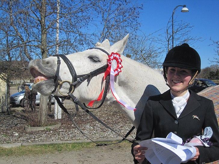 Connemara Hesselholts Charlie l SOLGT l - En glad Charlie efter at have vundet Lc2 hest med 69,09 % - Af Mie Rudbeck   billede 11