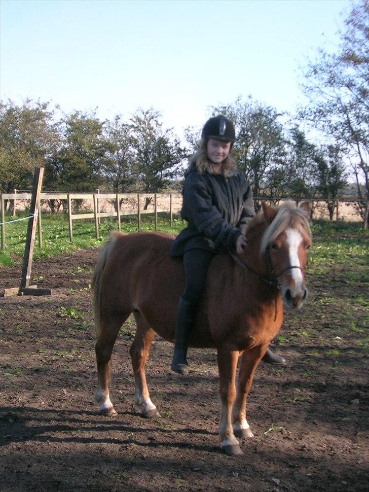 Anden særlig race Blis R.I.P billede 20