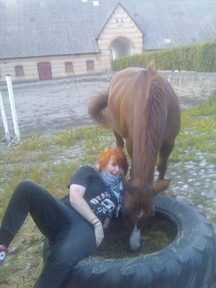 Dansk Varmblod Aluette †R.I.P?† - Alu og jeg.. Hun er da lidt en skrøn pru pru :-D - Taget af Pernille Stæhr  billede 9