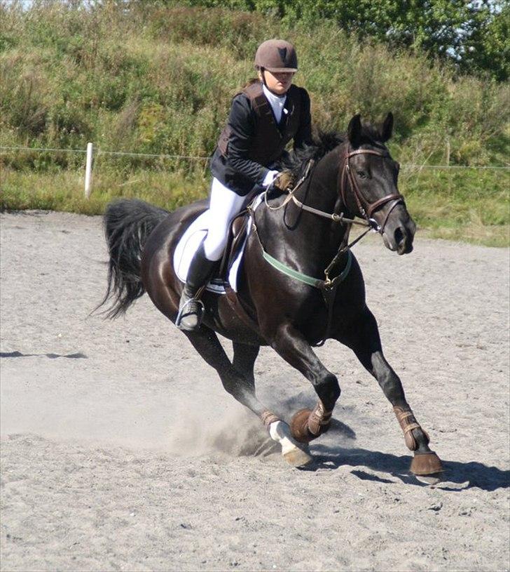 Oldenborg Lexus R.I.P billede 1