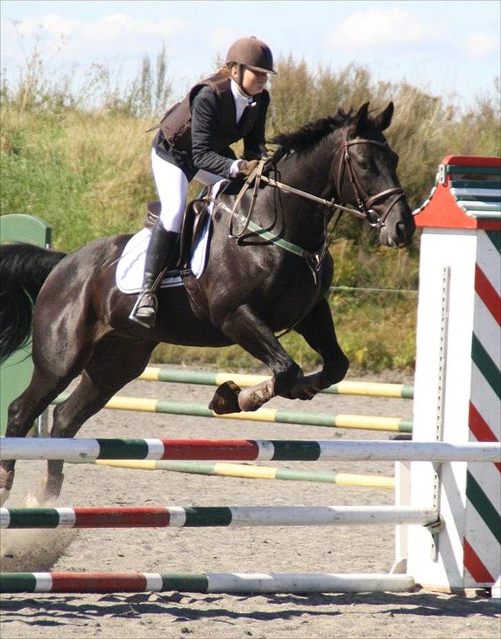 Oldenborg Lexus R.I.P billede 2