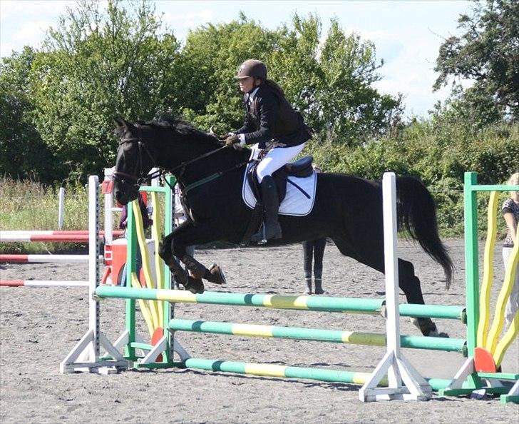 Oldenborg Lexus R.I.P billede 3