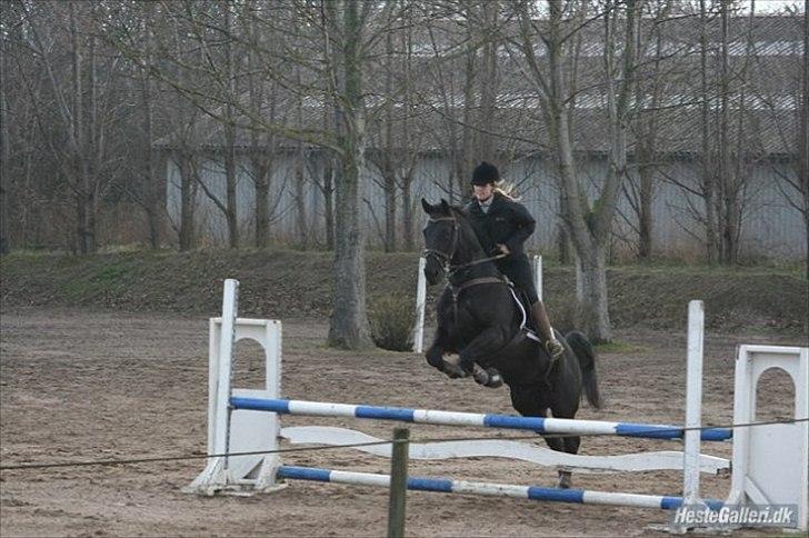 Oldenborg Lexus R.I.P billede 5