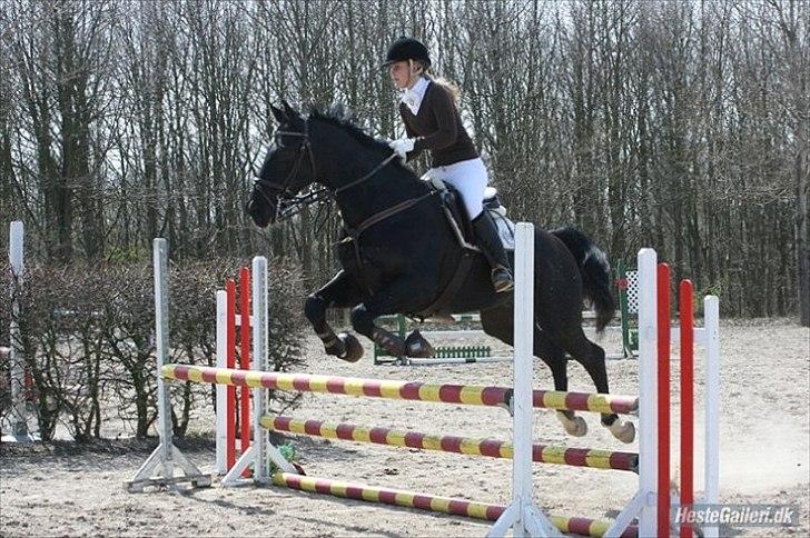 Oldenborg Lexus R.I.P billede 8