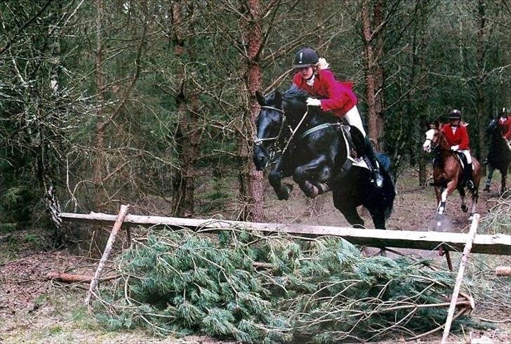 Oldenborg Lexus R.I.P billede 10