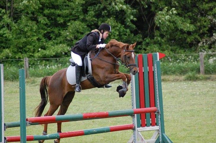 Hollandsk Sportspony Simone  - Spring stævne i Bolderslev :) - Taget af Anne :) billede 4