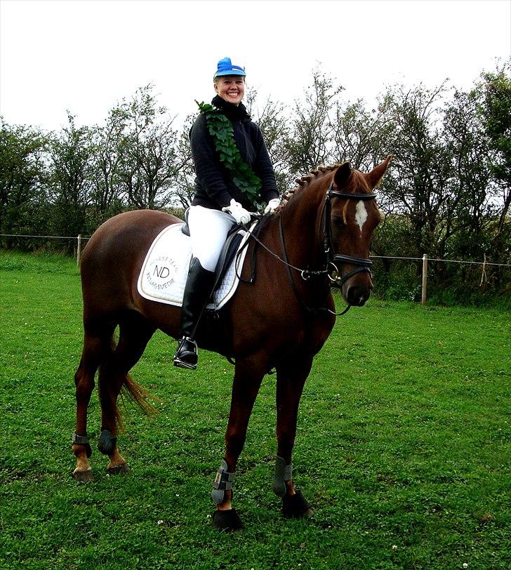 Hollandsk Sportspony Simone  - Kronprins :D billede 8