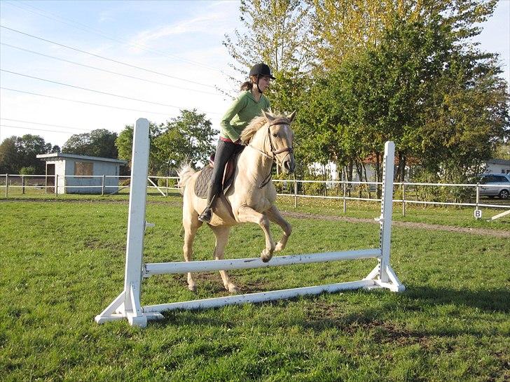 Anden særlig race Rain - Hop :D  (Foto: Laura. Tak søde <3) billede 9