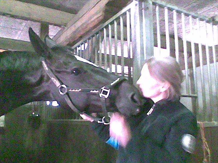 Dansk Varmblod jesti's Wanila - mor og wanila kysser;D billede 12