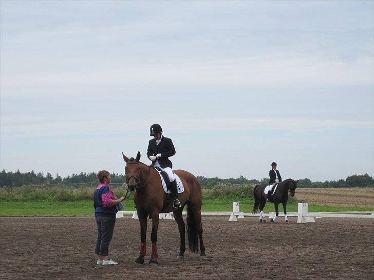 Dansk Varmblod Tatiana (Vildkat) - Stævne i Hammelev :i billede 4