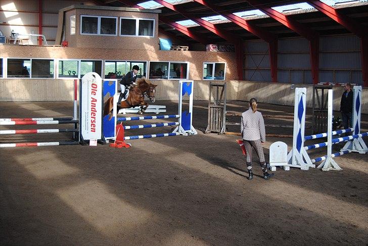 Anden særlig race Donna <3  - vorse første c-stævne  LC-LB billede 15