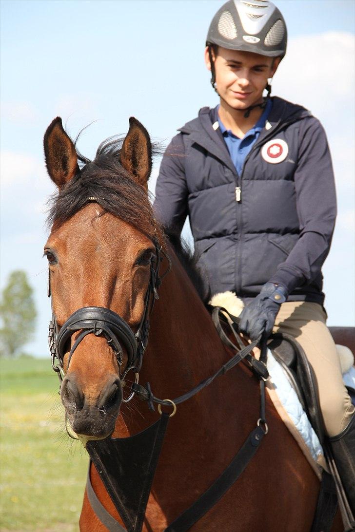 Holstener Rocco - Rocco oppe hos henriette billede 3