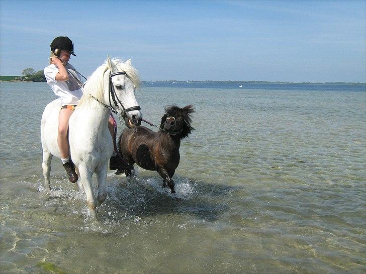 Anden særlig race Makker <3<3 billede 12