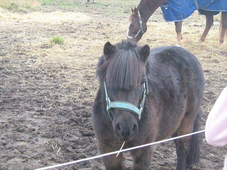 Anden særlig race Makker <3<3 - må jeg komme ind nu?? <3 :) billede 15