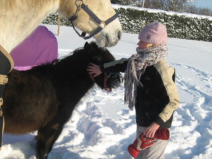 Anden særlig race Makker <3<3 - vinteren 2010 billede 20