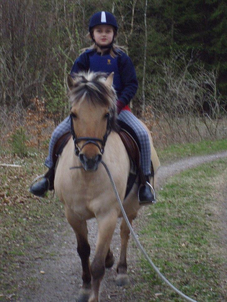 Anden særlig race Chila - mig der rider billede 5