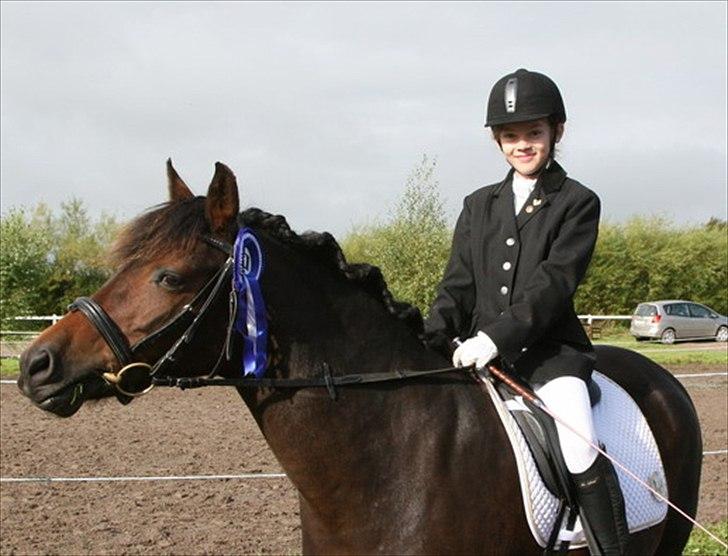 New Forest Lundemarksgaards Hera Ophelia - 3) Her er Hera og mig fået en 2. plads til vores seneste stævne. Foto: Sanne Dahlin billede 3