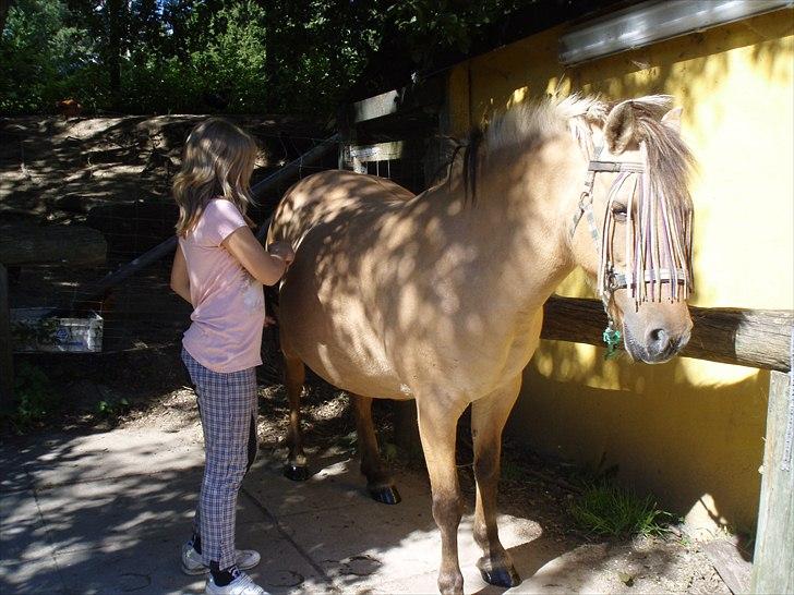 Anden særlig race Chila - mig og chila billede 13