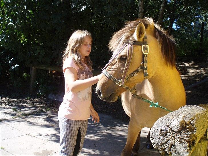 Anden særlig race Chila - mig og chila billede 14