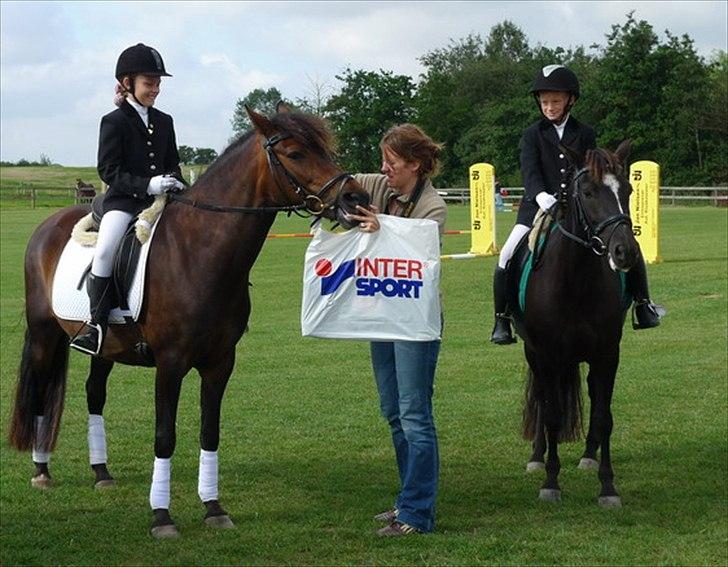 New Forest Lundemarksgaards Hera Ophelia - 7) Hera og mig til tempotravridt overrækkelse. 2. plads. Foto: ? Mor måske billede 7