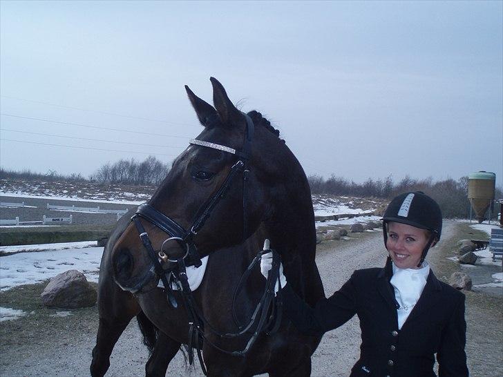 Dansk Varmblod De Noisette - 26.02.11 - Til vores første rigtige stævne billede 11