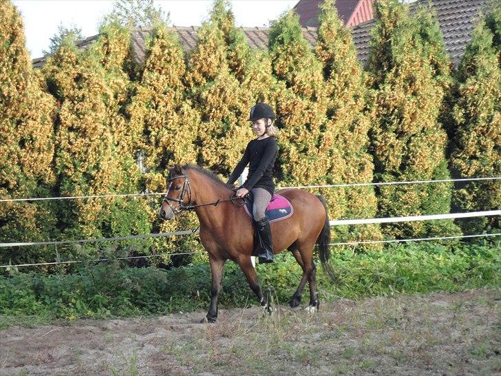 Anden særlig race spirit - Her er jeg med sine der rider mig ind i mellem. billede 13