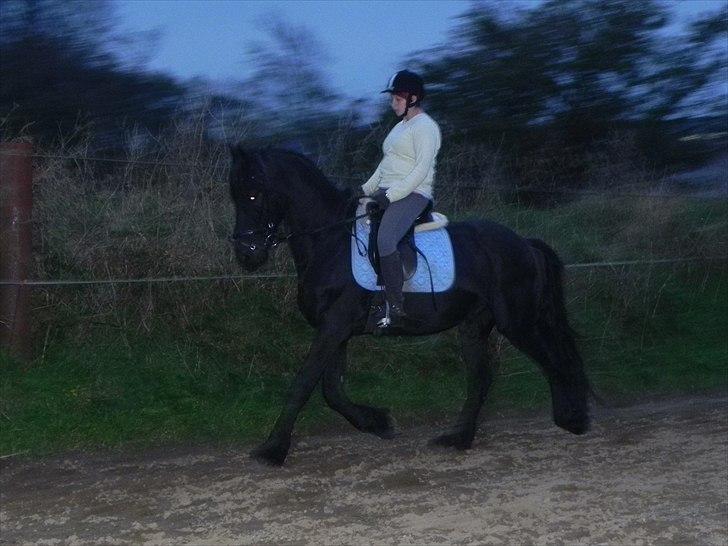 Frieser Liekele billede 8