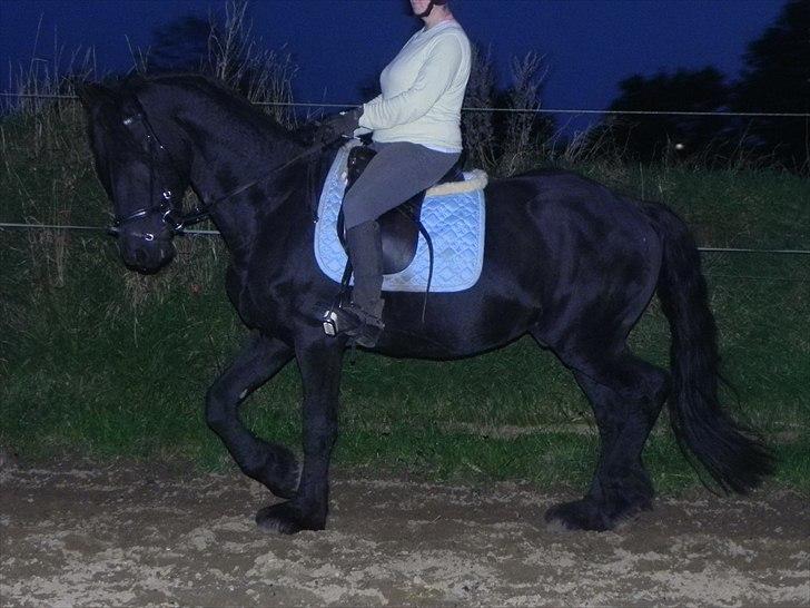 Frieser Liekele billede 9