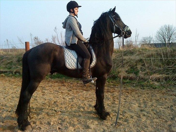 Frieser Liekele - 1gang jeg sidder på ham, på banen <3 ! STOLT.!! :) billede 11