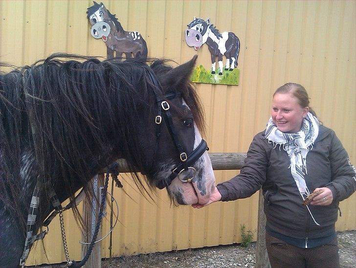 Tinker Lehmanns Ozzie <3  - Første gang med trense og bid :-) billede 13