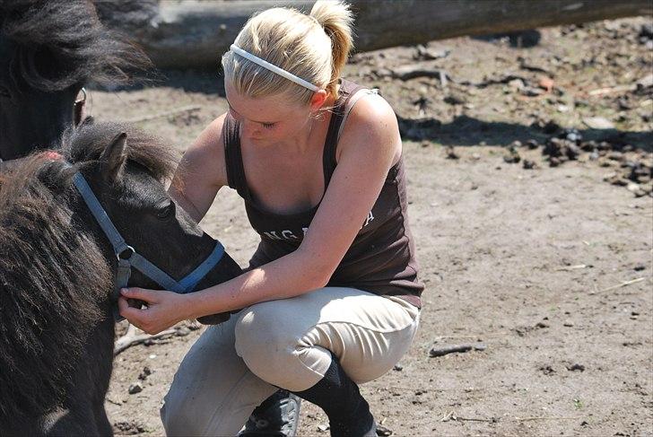 Anden særlig race Krumme(':<3  billede 12