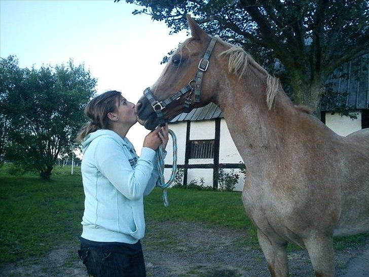 Anden særlig race Siboney<3 *SOLGT* - du vil altid være smukkest!<´3 billede 19