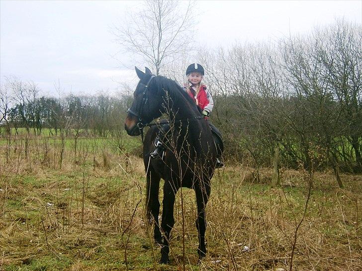 Traver greedyness - hehe mig der rider gredyness billede 8