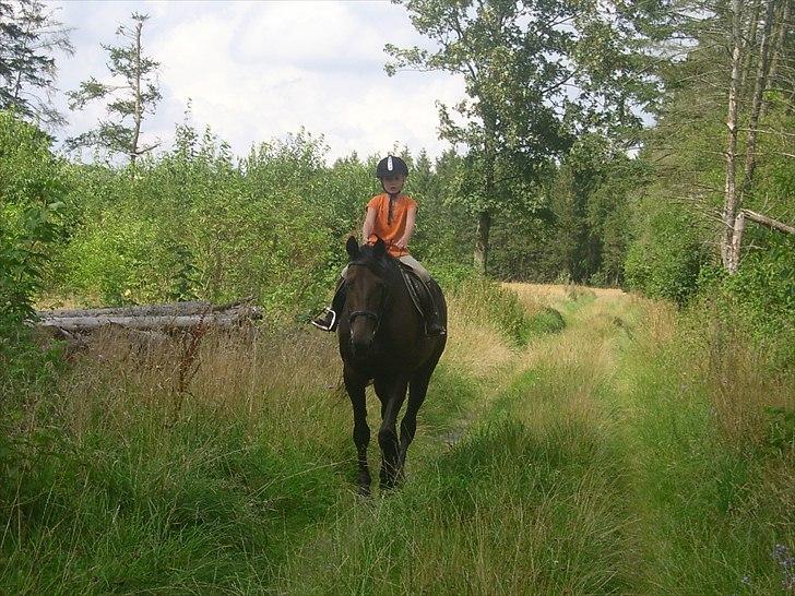 Traver greedyness - rider på skov vejen:) billede 9