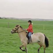 Anden særlig race fanta R.I.P