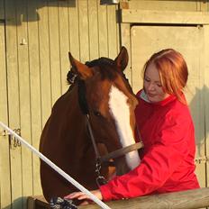 Dansk Varmblod Safari SOLGT