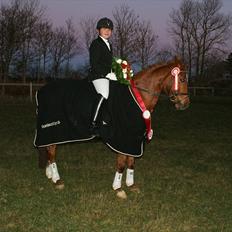 Arabisk fuldblod (OX) Java Surprise (Mit liv<3)