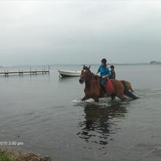 Anden særlig race Epoke 