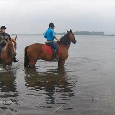 Anden særlig race Epoke 