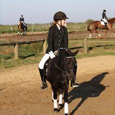 Anden særlig race Sally