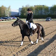 Anden særlig race Sally