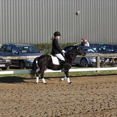 Anden særlig race Sally