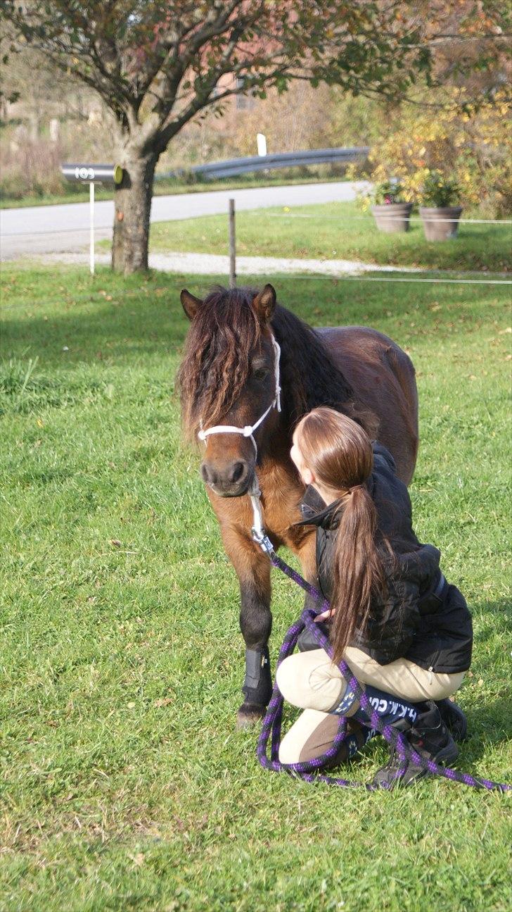 Anden særlig race Nørre Eskær´s Rambler - Nyt! Tak for hyggen basse dreng...14/10 2010 billede 10