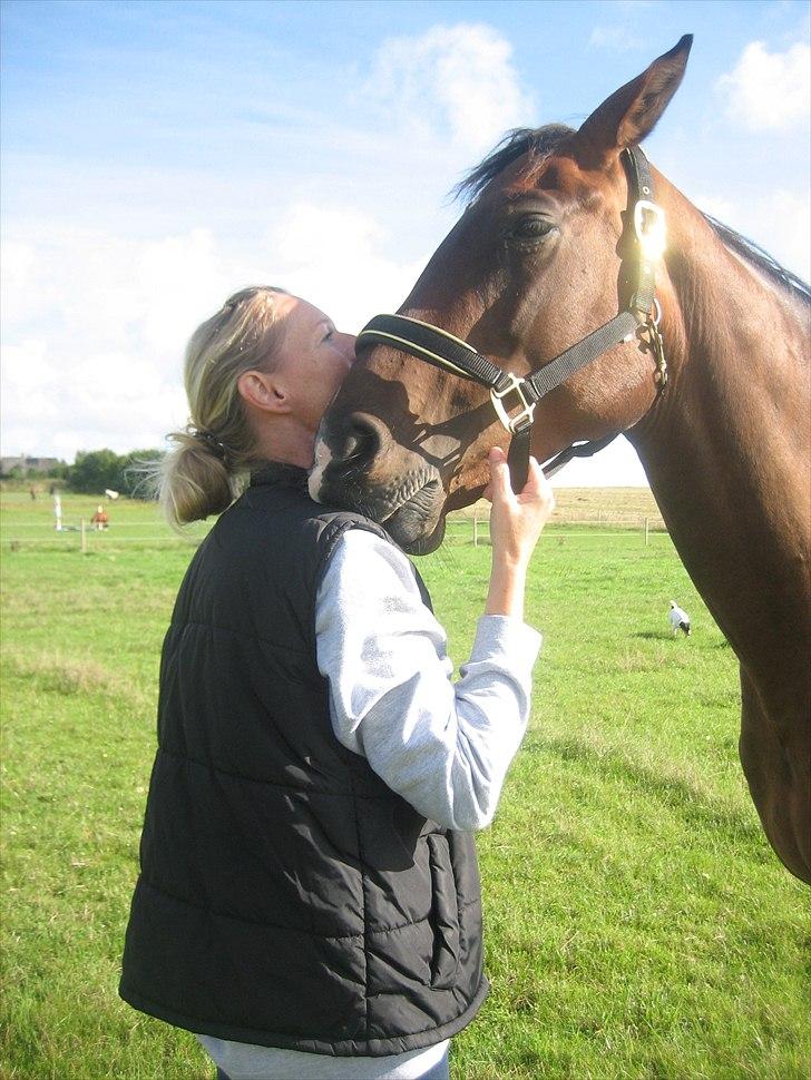 Dansk Varmblod Federica Lightfoot billede 8