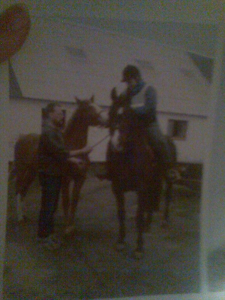 Frederiksborg Locky Classic billede 7