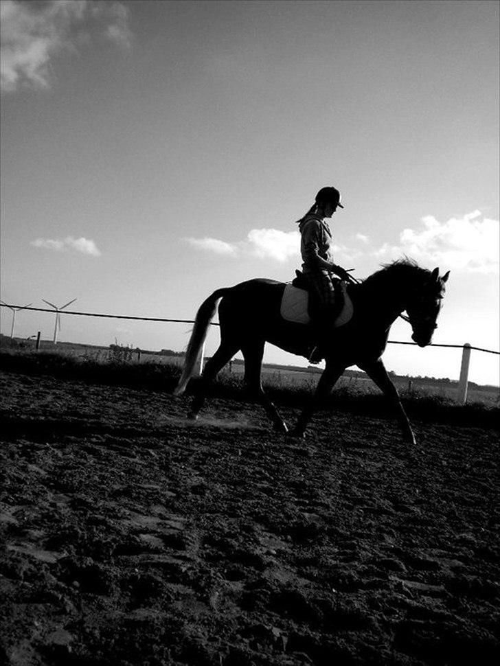 Connemara Haahr´s w´Air  - taget af: Laura J billede 11