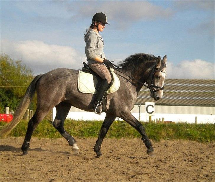 Connemara Haahr´s w´Air  - taget af: Laura J billede 12