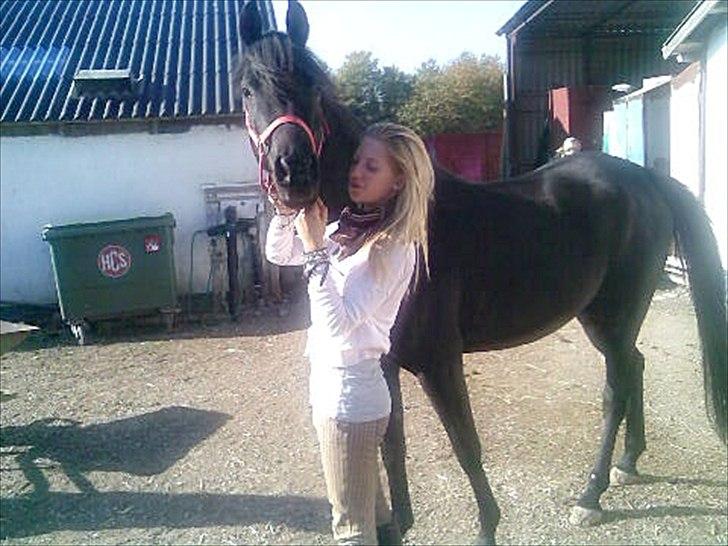 Arabisk fuldblod (OX) Aziza Chacia Lykke  - Ida og Chacia. jeg elsker dig min smukke hest! billede 1