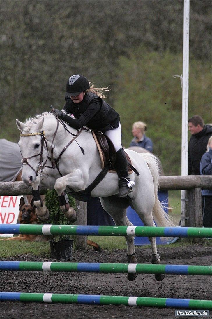 Anden særlig race Snowball - vores første lb, vi var fejlfri, var så glad. foto: malene markmann billede 8